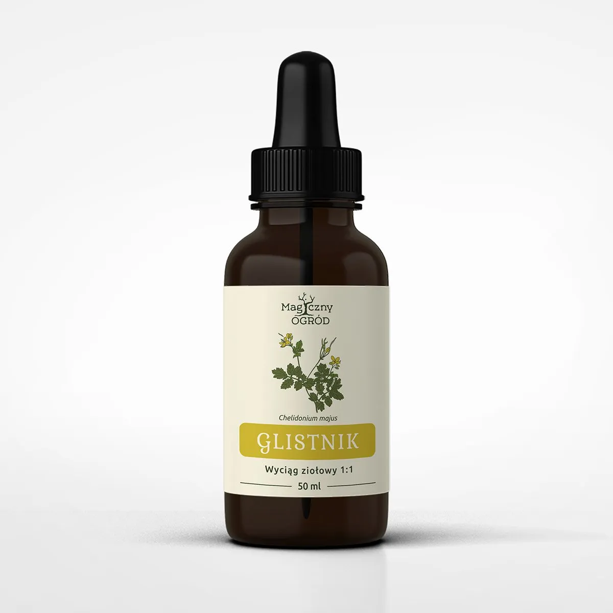Glistnik nalewka <br> 50 ml 1 Glistnik nalewka <br> 50 ml