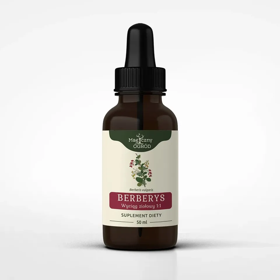 Berberys nalewka 1:1 <br> 50 ml 1 Berberys nalewka 1:1 <br> 50 ml