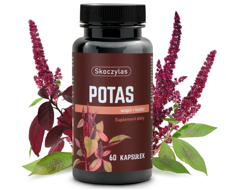 Potas + Wapń + Fosfor<br> 60 kapsułek 1 Potas + Wapń + Fosfor<br> 60 kapsułek