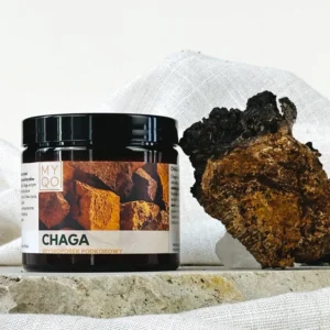 Chaga - Błyskoporek podkorowy <br> 90 kapsułek