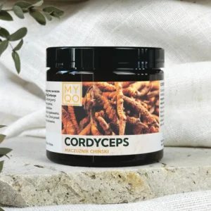 Cordyceps sinensis - Maczużnik chiński <br> 90 kapsułek
