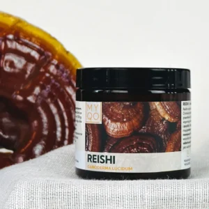 Reishi - Lakownica lśniąca <br> 90 kapsułek