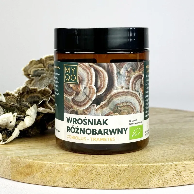 BIO Wrośniak Różnobarwny <br> 100 g 1 Ekologiczny wrośniak różnobarwny (Coriolus versicolor) 100g