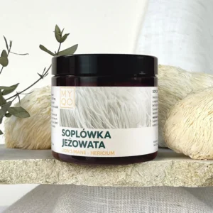 Soplówka jeżowata <br> 90 kapsułek