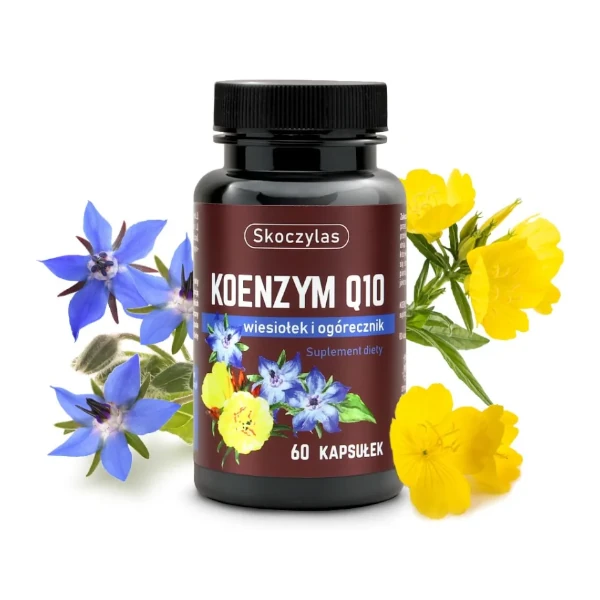 KOENZYM Q10 wiesiołek, ogórecznik | 60 kapsułek 1 Suplement diety koenzym Q10, z wiesiołkiem i ogórecznikiem 60 kapsułek – Skoczylas