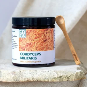 Cordyceps militaris - Maczużnik bojowy - 100 g - Myqo