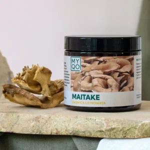 Maitake - Żagwica listkowata - 90 kap. | Myqo