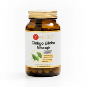 Ginkgo biloba - ekstrakt | 90 kapsułek