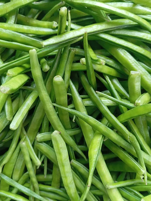 Guma gular skąd pochodzi